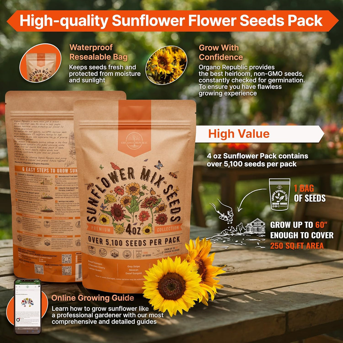 Sunflower Mix Seeds Pack 4 oz - Over 5,100 Non-GMO Heirloom Sunflower Seeds for Planting, Annual