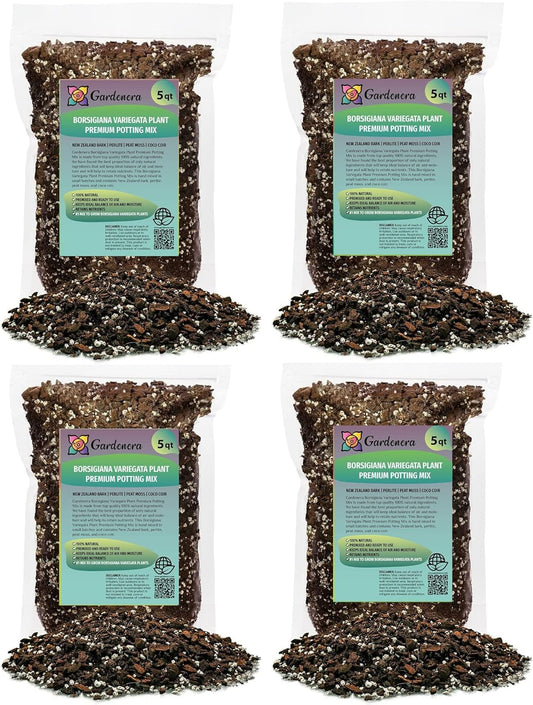 Premium Monstera Borsigiana Soil Mix - Trusted by Horticulture Experts for Strong and Healthy