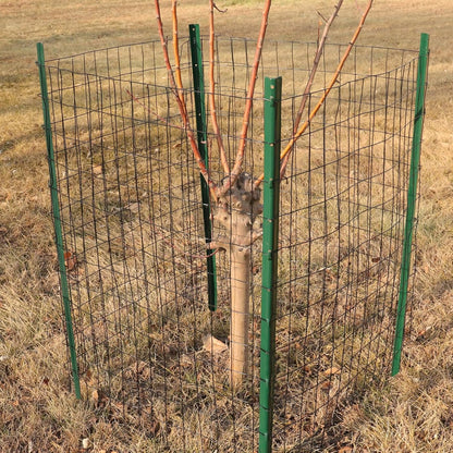 Black PVC Coated Welded Wire Fence 24 Inch x 50 Foot, 2 Inch x 3 Inch 16GA, Garden Border Fencing
