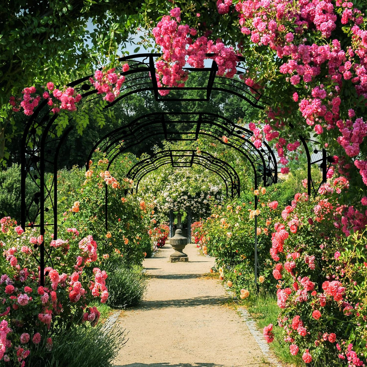 Metal Garden Arch 8.2 FT High x 6.2 FT Wide Garden Arbor Trellis for Outdoor Climbing Plants