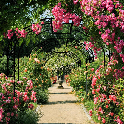 Metal Garden Arch 8.2 FT High x 6.2 FT Wide Garden Arbor Trellis for Outdoor Climbing Plants
