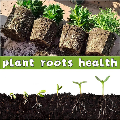 240 Cells Peat Pots Seed Starter Tray 24 Packs Biodegradable Seedling Pots Germination Trays Peat