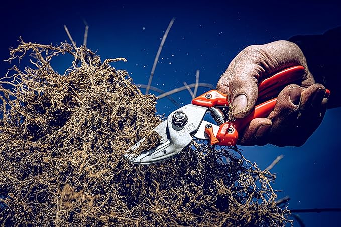 Original LÖWE Profi Anvil Prunner Garden Tools 8.107 with Bypass Geometry | Robust & Sharp Hedge