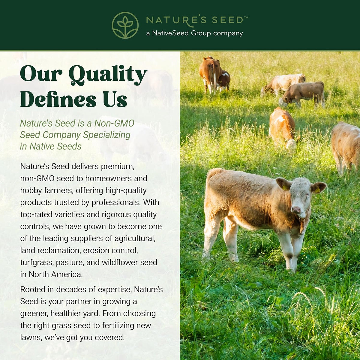 Nature's Seed Northern/Transitional Dairy Cow and Cattle Forage Mix, Pasture Grass Seed Blend