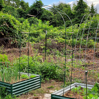 100% Metal Garden Arch Trellis for Climbing Plants Outdoor, Assemble Freely 2 Sizes,Pumpkin Archway