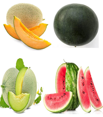 Melon Seeds Variety Pack for Planting – 4 Non-GMO Heirloom Varieties: Crimson Sweet & Sugar Baby