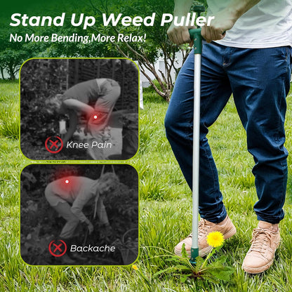 Walensee Weed Puller, Stand Up Weeder Hand Tool, Long Handle Garden Weeding Tool with 3 Claws, Hand
