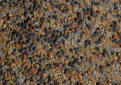 No-Till Cover Crop 13-Seed Mix: 50% Clovers Plus Fenugreek, Vetch, Flax, Cowpeas, Buckwheat, Forage