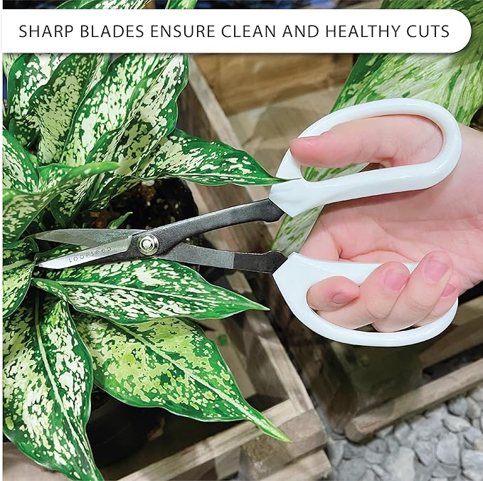 Precision Gardening Scissors Plant Trimming Pruning Shears Garden Pruners for Orchid Bonsai