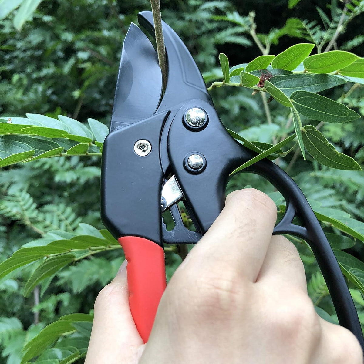 gonicc 8" Professional Ratchet Anvil Pruning Shears (GPPS-1011), Ratcheting Mechanism, Anvil groove