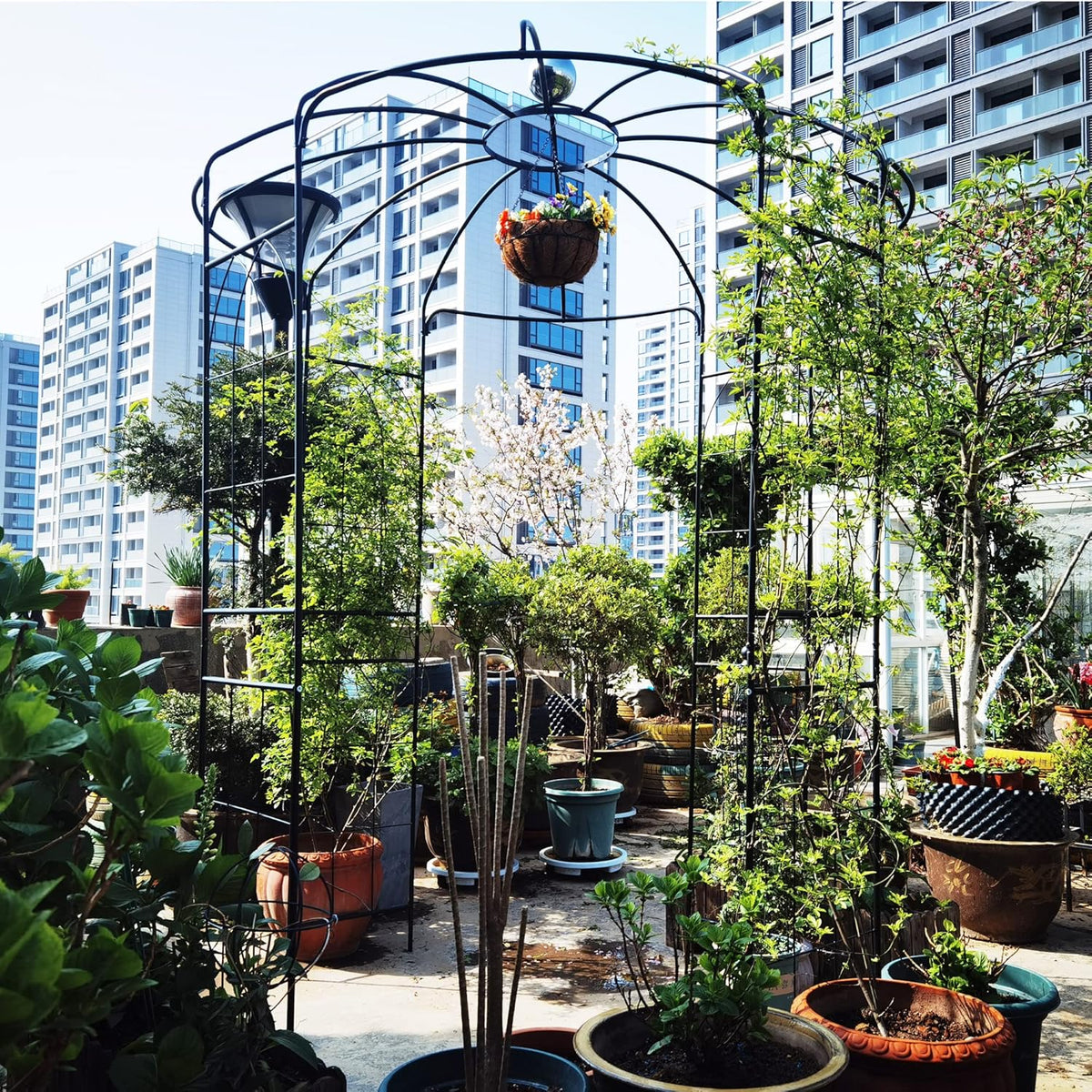 Metal Gazebo Birdcage Shape, Garden Trellis Arbor Arch for Climbing Plants Stand Rack Pergola