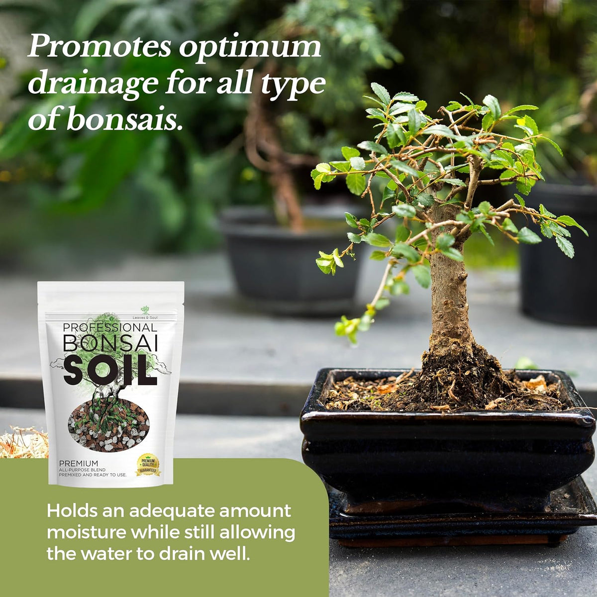 Bonsai Soil Premium All Purpose Blend | Pre-Mixed Ready to Use for Fast Drainage | Large 2.2 Quarts