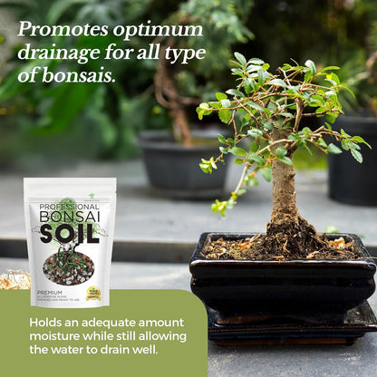 Bonsai Soil Premium All Purpose Blend | Pre-Mixed Ready to Use for Fast Drainage | Large 2.2 Quarts