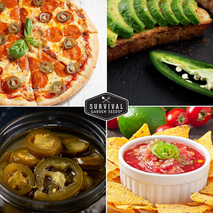 Jalapeño Pepper Seeds for Planting | Hot Heirloom Non-GMO Peppers for Pickling & Salsas – Survival