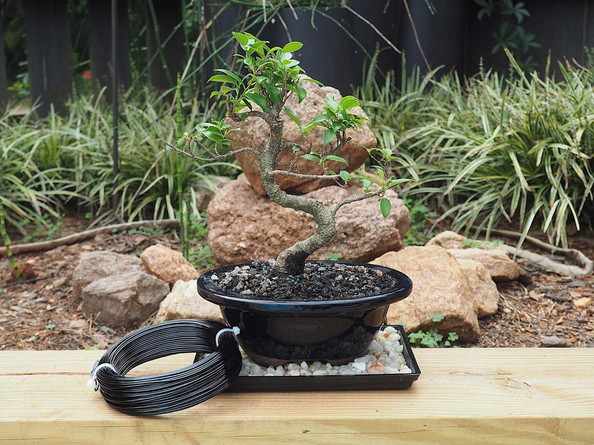 Anodized Aluminum 1.5mm Bonsai Training Wire 250g Large Roll (170 feet) - Choose Your Size and