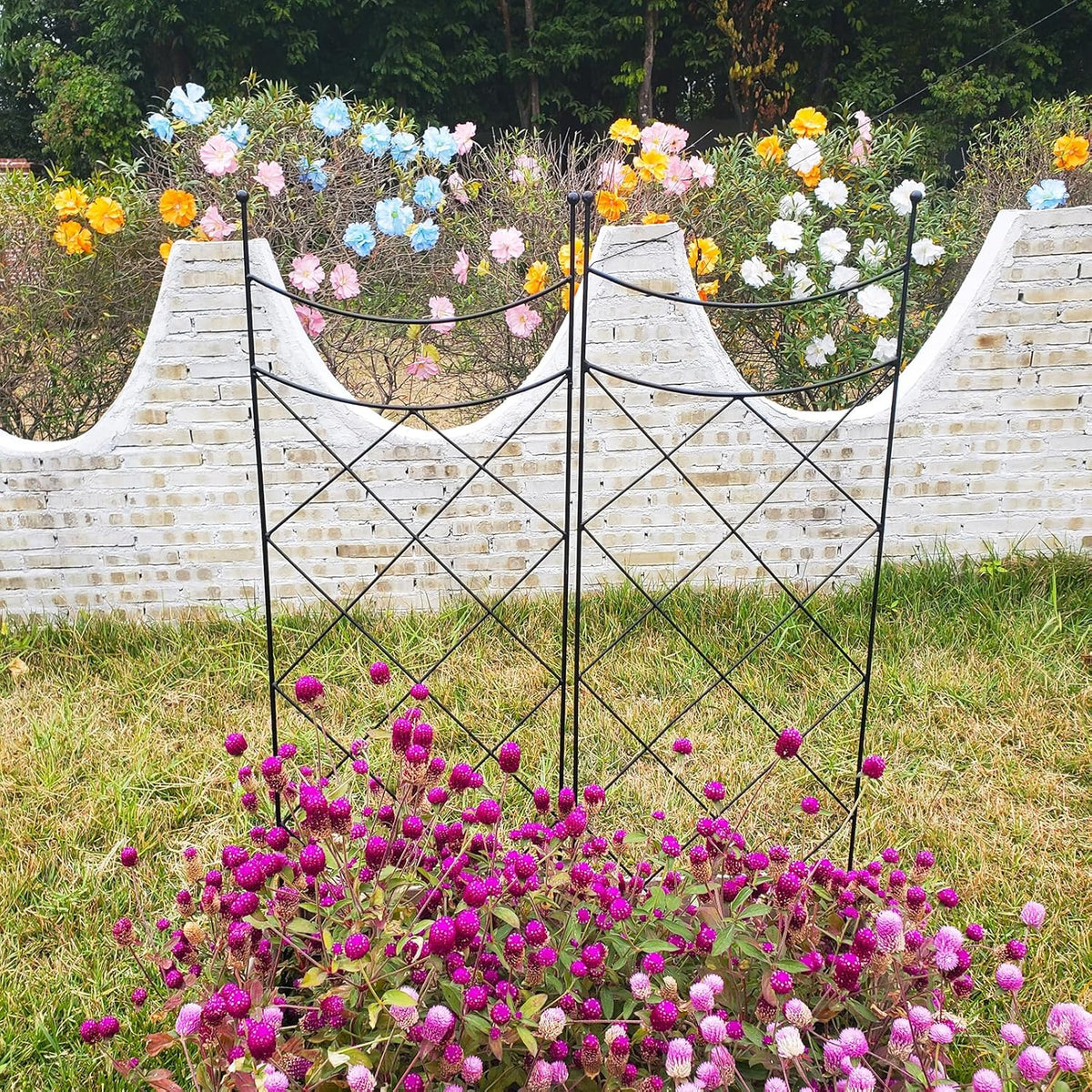 45.3" H x 15" W Metal Garden Trellis for Climbing Plants, Black Iron Trellis for Vines Plant Rose