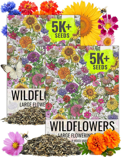 Seed Needs Garden Flower Seeds Large Blooms Mix Hummingbird and Butterfly | 2 Packs (1 Ounce Each)