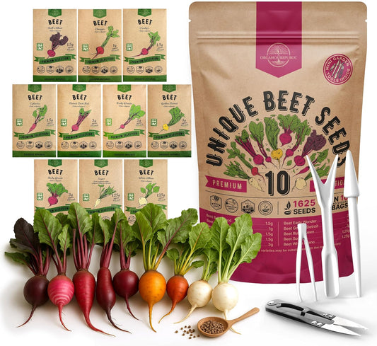 Organo Republic 10 Rare Beet Seeds Variety Pack for Planting Indoor & Outdoors 1625+ Heirloom