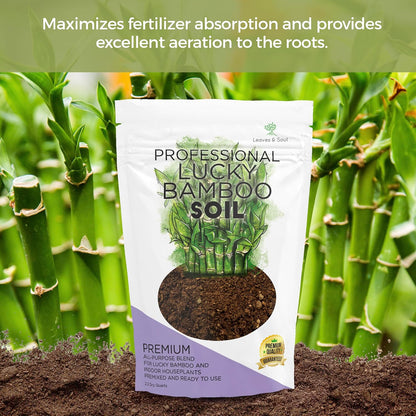 Professional Lucky Bamboo Soil | Large 2.2 Quarts Ready to Use for Lucky Bamboo Plants | Peat Moss