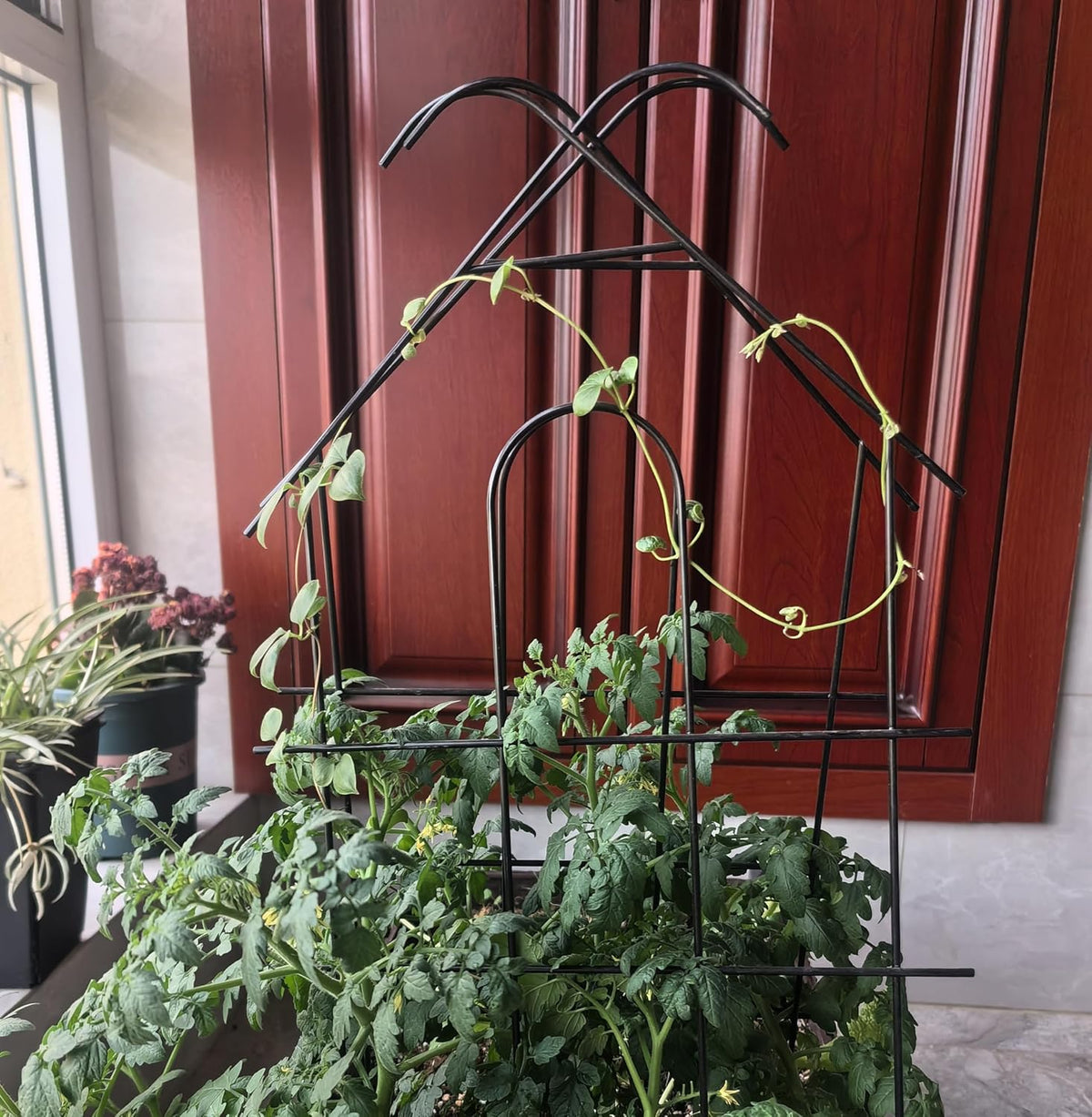 ARIFARO 32'' Metal Garden Trellis Indoor/Outdoor Sturdy Plant Trellis for Potted Plants,House