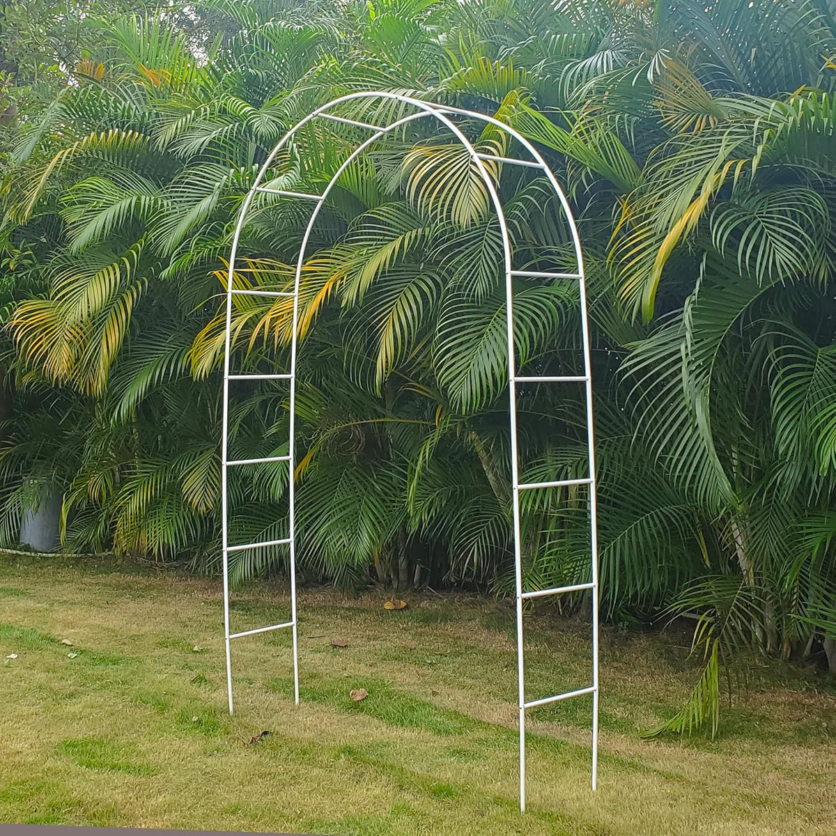 White Iron Pergola Arbor Practical, 7.9 Feet High x 4.6 Feet Wide, Assemble Easily for Various