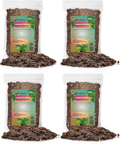 Gardenera Scindapsus Sterling Potting Mix - Unlock Robust Growth and Stunning Leaves with Our