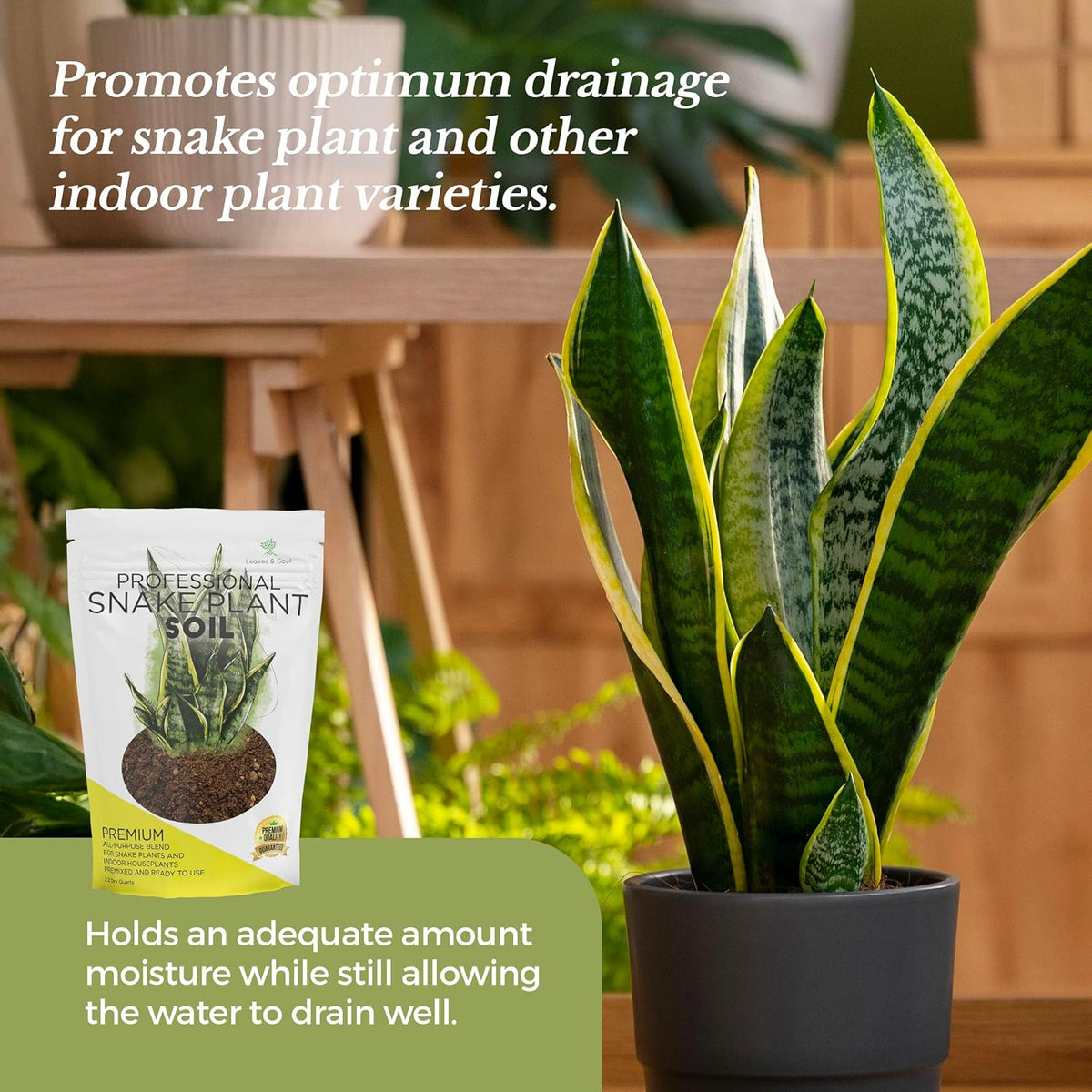 Professional Snake Plant Soil | Large 2.2 Quarts Ready to Use for Snake Plants | Peat Moss, Coco