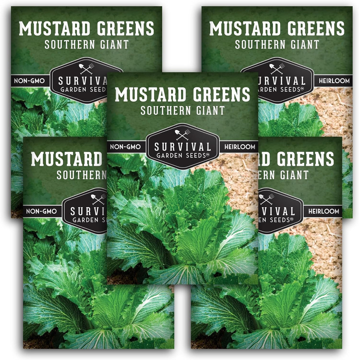 Southern Giant Mustard Green Seeds for Planting – Heirloom Non-GMO Spicy Greens, Heat Tolerant and