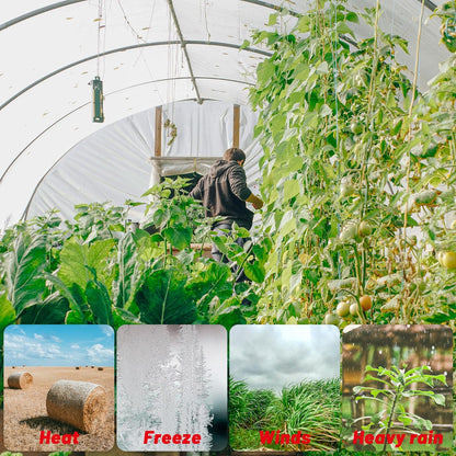 6 Mil Clear Greenhouse Plastic Sheeting,Transparent Plastic Film for Greenhouse, Resistant