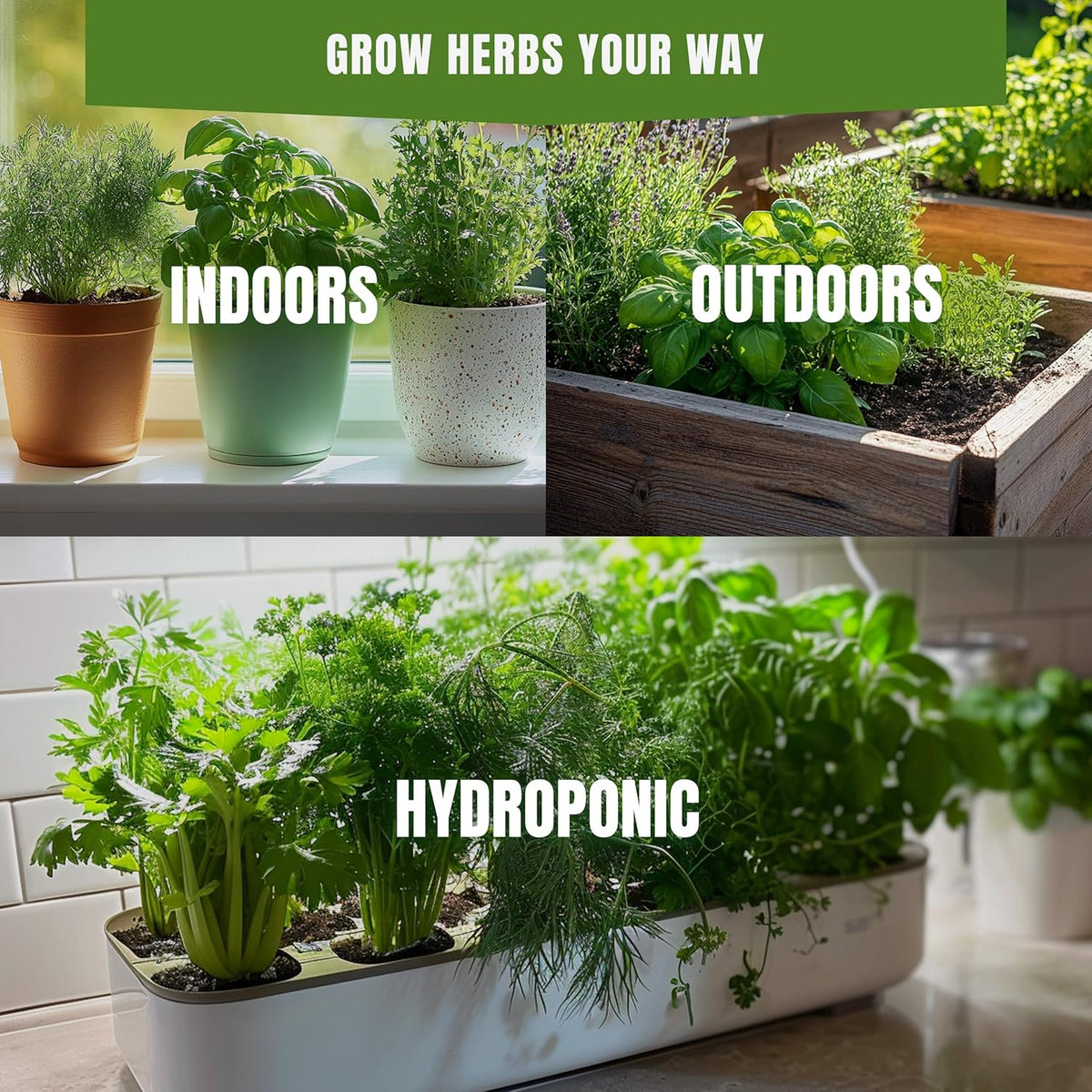18 Culinary Seeds Variety Pack - Herb Garden Starter Kit with Plant Markers | 4100+ Non-GMO