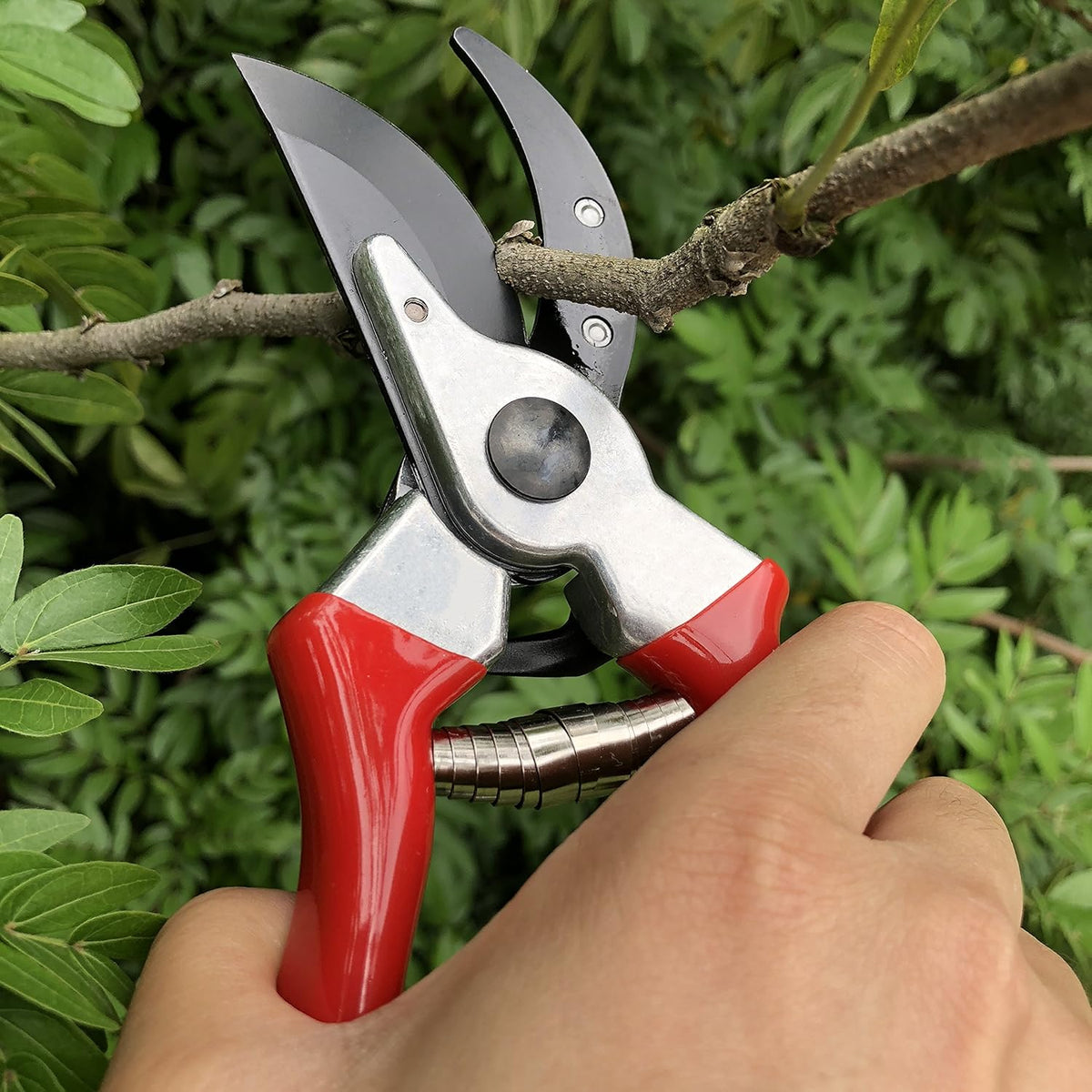 gonicc 8" Professional Sharp Bypass Pruning Shears (GPPS-1002), Tree Trimmers Secateurs,Hand