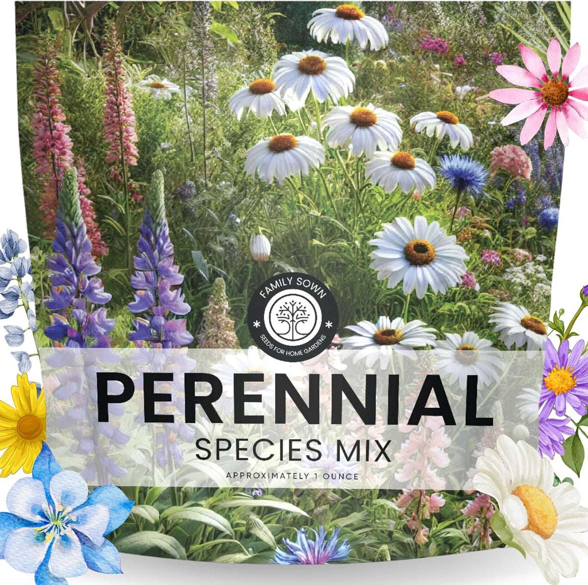Perennial Species Mix - Large 1 Ounce Packet - 15,000 Flower Seeds for Planting - Wildflower Mix