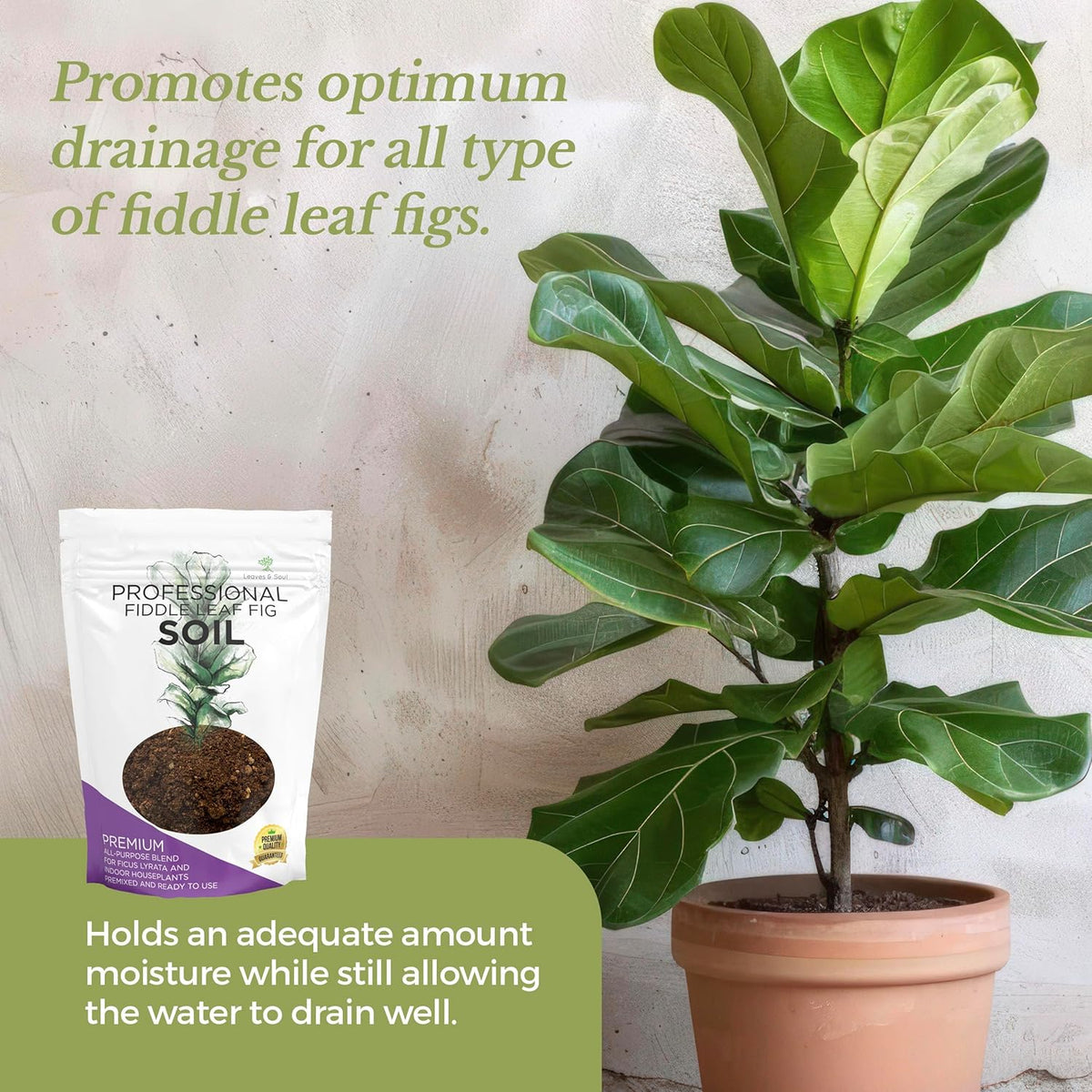 Large Bag Houseplant Fiddle Leaf Fig Soil Premium All Purpose Blend | Ready to Use for Indoor