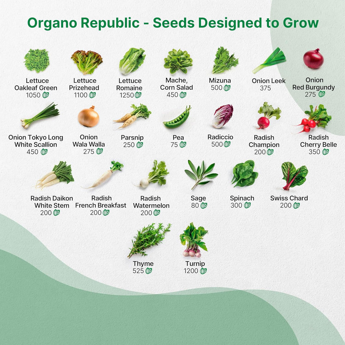 50 Winter Vegetable Garden Seeds Variety Pack - 43,450+ Non-GMO Heirloom Seeds for Outdoors &