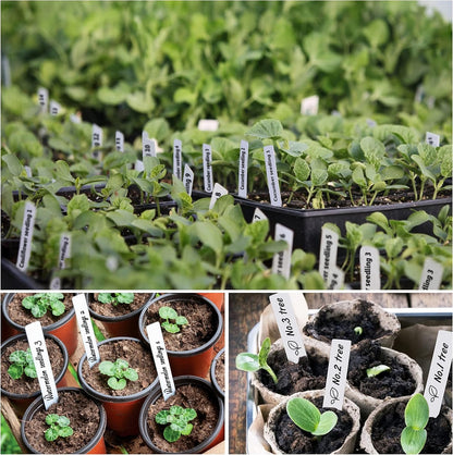 Plant Labels 4 Inch 500Pcs Plastic Plant Name Tags for Seedlings Garden Labels Markers Nursery
