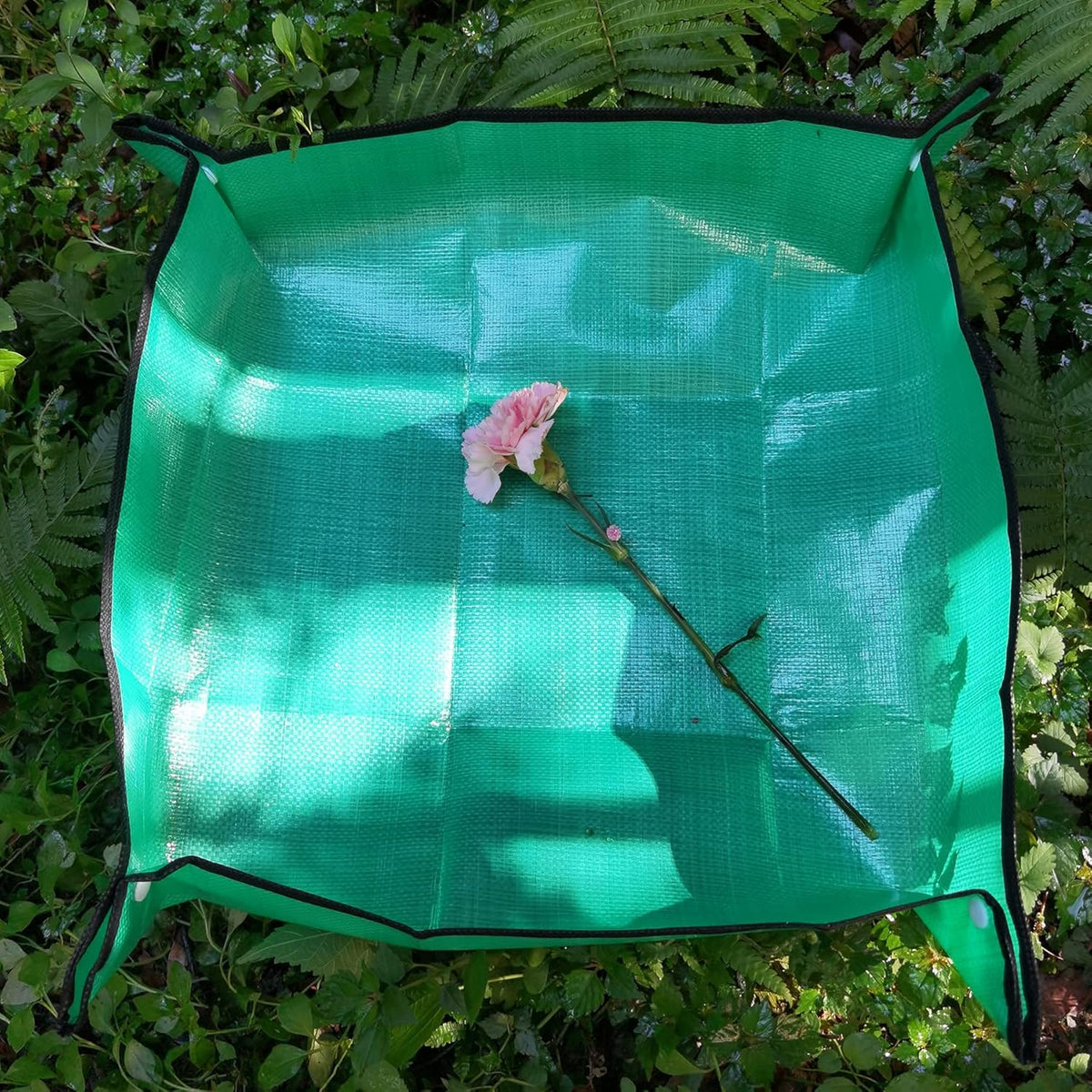 RESTCLOUD Indoor Plant Repotting Mat Potting Tray, Poo Poo Platter for Butterfly Cage, 19.6 x 19.6