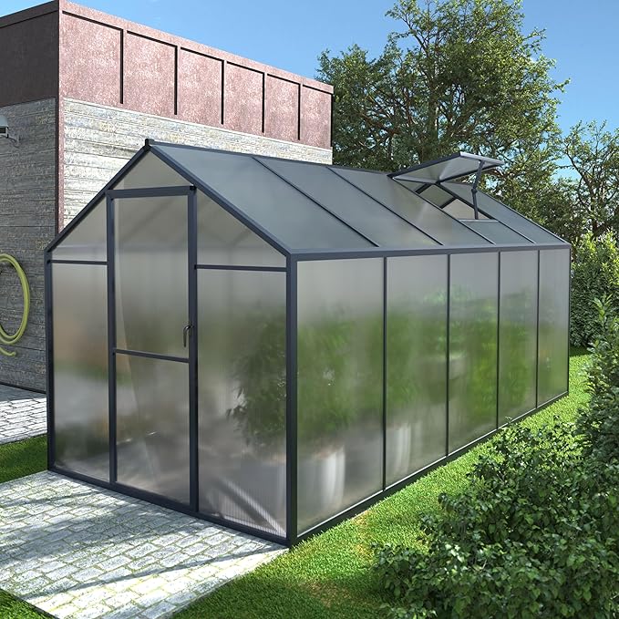 BlueWish 6x10FT Greenhouses for Outdoors, Aluminum Greenhouse with Adjustable Vents, Rivet