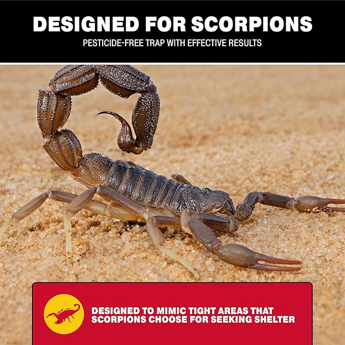 Catchmaster Scorpion Glue Tray Traps 6-Pack, Adhesive Scorpion Killer for Home, Simple Insect Traps