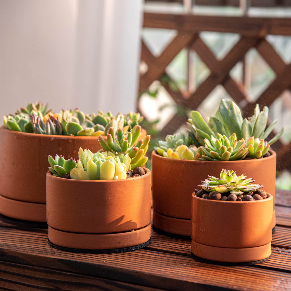 D'vine Dev Set of 4 Terracotta Shallow Planter Pots for Succulent, 3 Inch 4 Inch 5 Inch 6 Inch