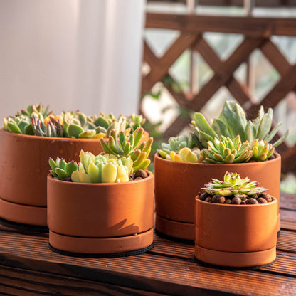 D'vine Dev Set of 4 Terracotta Shallow Planter Pots for Succulent, 3 Inch 4 Inch 5 Inch 6 Inch