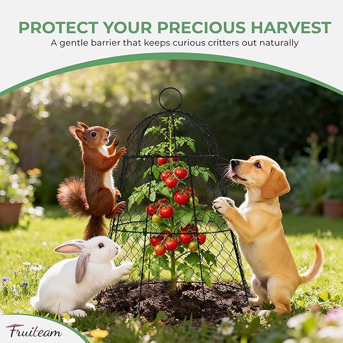 FRUITEAM Metal Plant Covers 6pcs, Heavy Duty Garden Cloche Plant Cage for Outdoor, 13"x15.8"H
