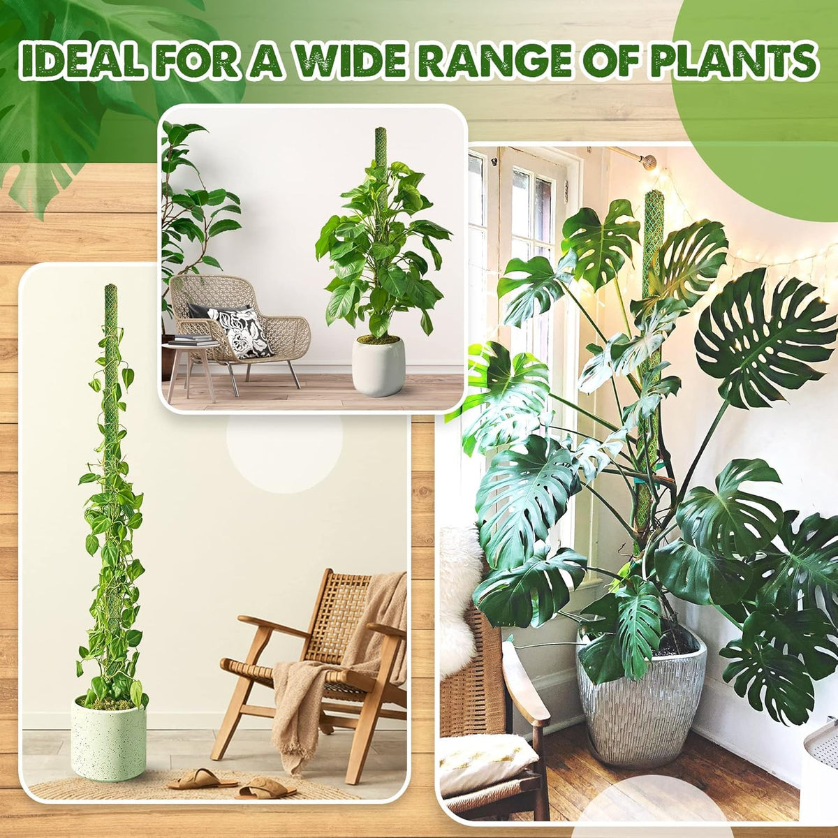 DUSPRO 10Pcs 22'' Green Stackable Mesh Moss Pole for Plants Climbing Vine Supporting Monstera