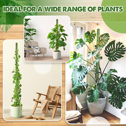 DUSPRO 10Pcs 22'' Green Stackable Mesh Moss Pole for Plants Climbing Vine Supporting Monstera