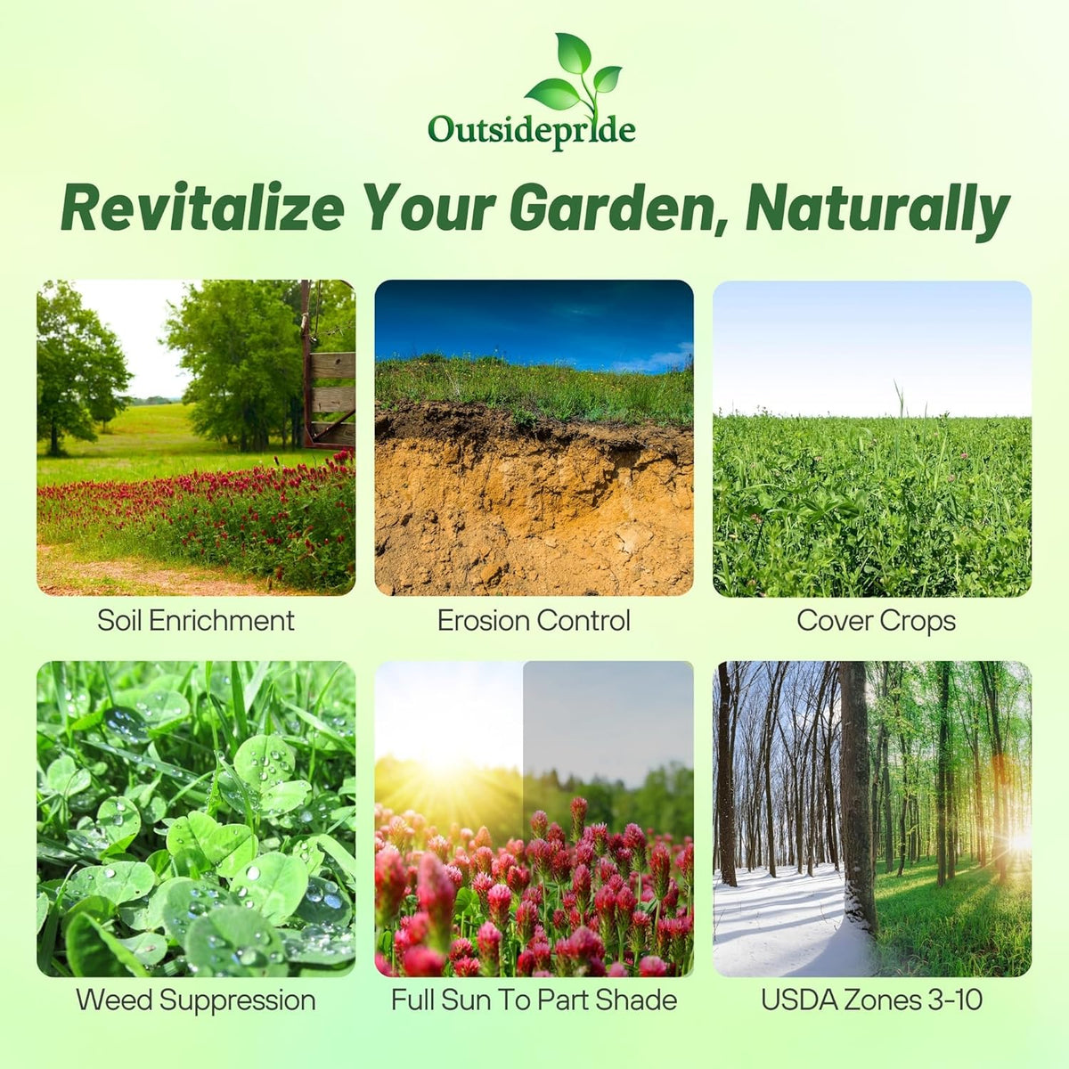 Outsidepride Gardenway Cover Crop Seeds - 10 lbs Nutrient-Rich Seed Mix for Soil Health Improvement