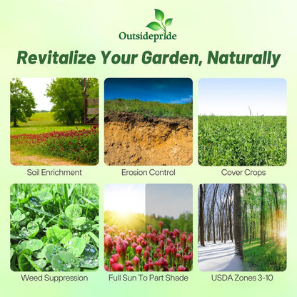 Outsidepride Gardenway Cover Crop Seeds - 10 lbs Nutrient-Rich Seed Mix for Soil Health Improvement