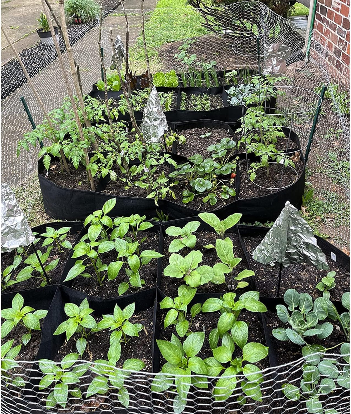 CJGQ Fabric Raised Garden Bed 6x3x1ft Garden Grow Bed Bags for Growing Herbs, Flowers and