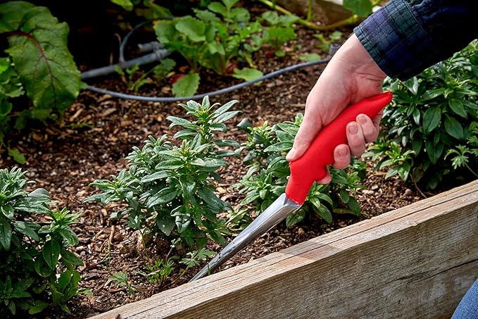 Corona CT 3050I Weeder