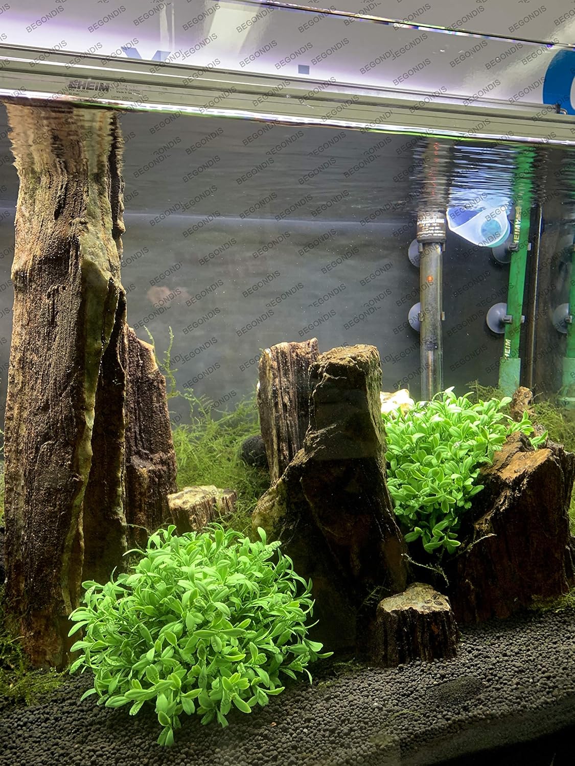 BEGONDIS Aquarium Decorations Fish Tank Artificial Green Water Plants Made of Soft Plastic, Safe