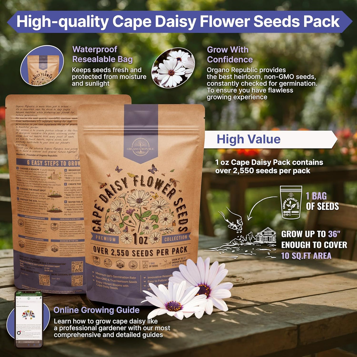 Cape Daisy Flower Seeds Pack 1 oz - Over 2,550 Non-GMO Heirloom Cape Daisy Seeds for Planting