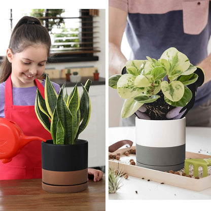 D'vine Dev Set of 2 Plants Pots, 6 Inch Ceramic Planter Pot for Plants with Drainage Hole and